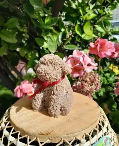 Perrito Floral